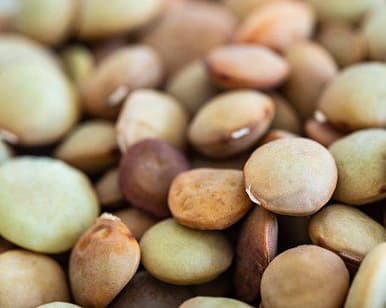 Lentil Protein for the Health-Centric Consumers