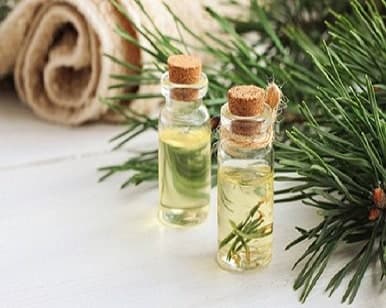 Pine-Derived Chemicals — Versatile Bio-Based Renewables