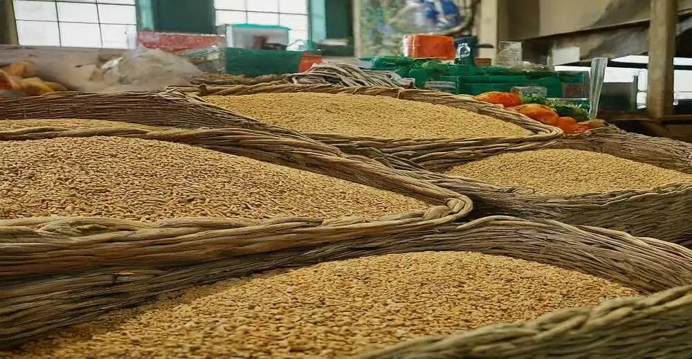 The Future of Grain Fumigants: Key Trends Shaping the Market