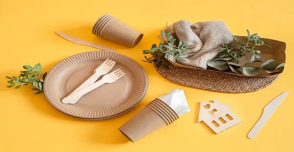 Top Innovations in Biodegradable Packaging Materials for a Sustainable Future