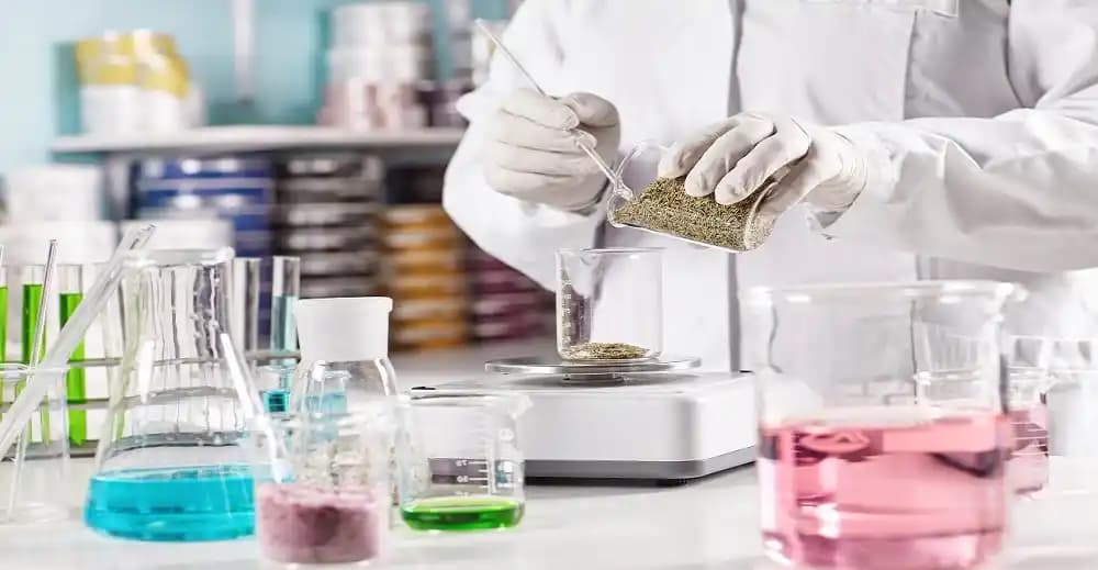 Exploring the Key Drivers of Growth in the Global Formulation Additives Market