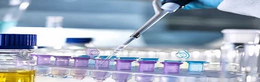 Biosimulation: Computer-Aided Simulation of Biological Process