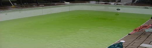 Understanding the importance of Algaecides