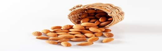 Almond Market – Trade, Genesis & Characteristics
