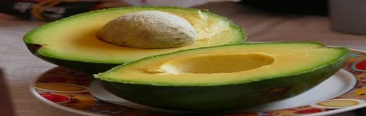 Avocado Market Trend – On a Healthy Growth Trajectory