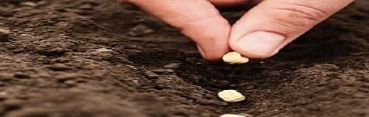 Biological Seed Treatment Market - An Overview