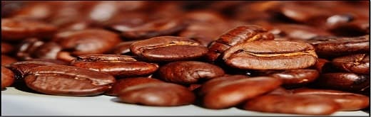 Global Coffee Bean Market Trend – Invigorating & Healing the World