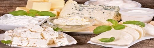 Dairy Ingredients Market Growth β Reinforcing Dairy Protein Consumption