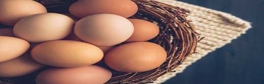 Global Egg Replacers Market Trend – Ensuring an Allergen Free Indulgence