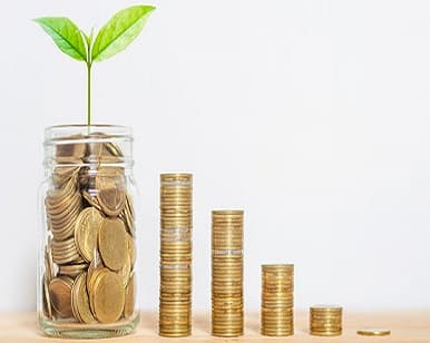 Integrating Finance With Environmental Sustainability - Sustainability-linked Finance Market