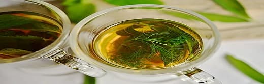 Tea Extract Market – An Overview