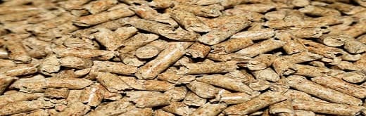 Global Wood Pellet Market Trend – A Regional Outlook