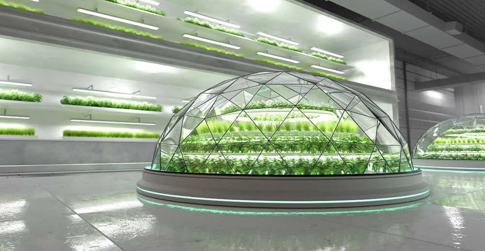 LED Lights Illuminating the Future of Farming