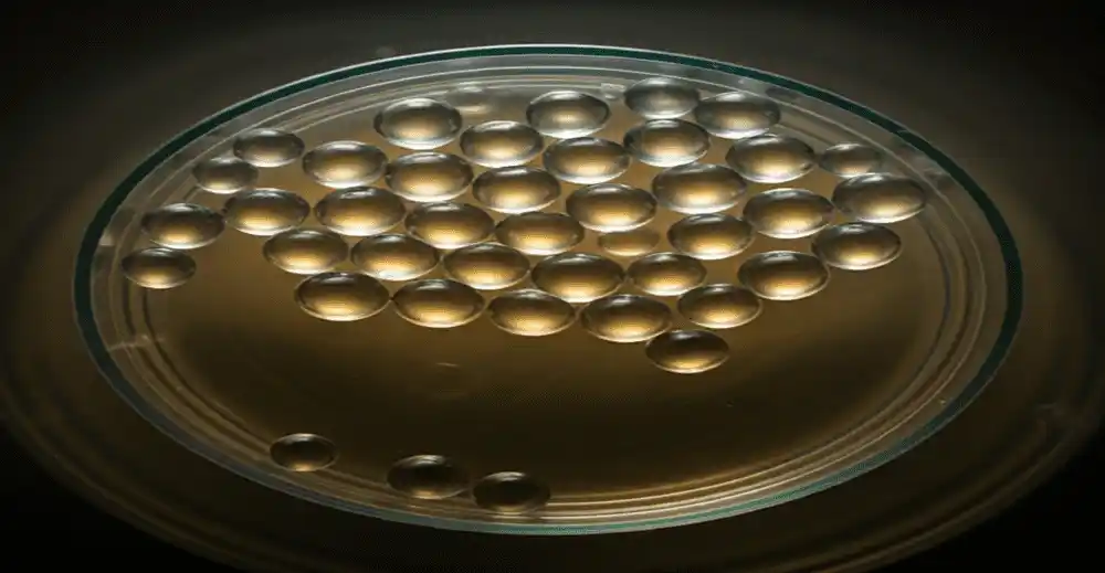 Microcarrier Market size worth US$1,905.292 million by 2030