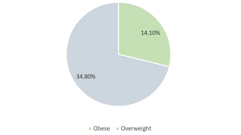 cases of obesity in china