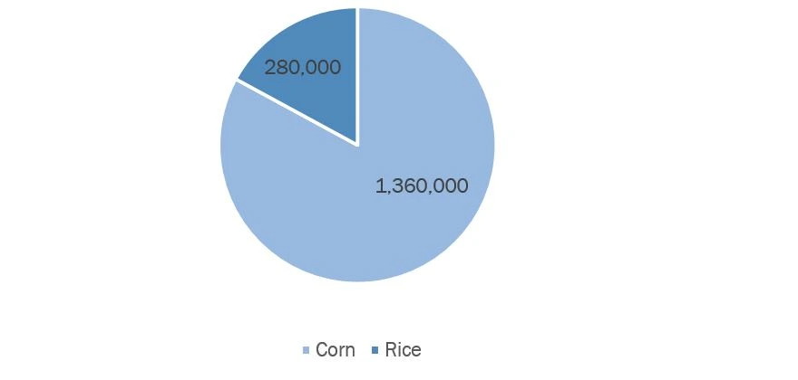 hybrid seed production