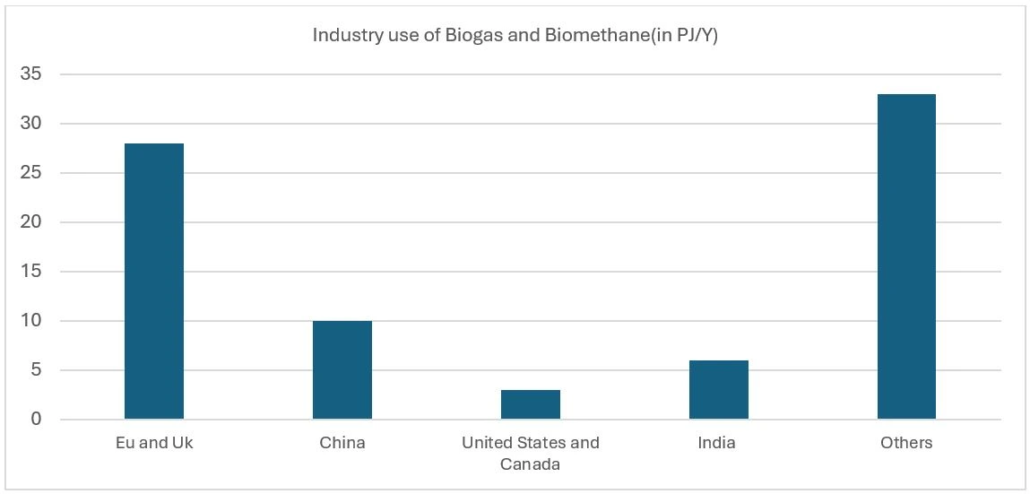 industry use of biogas and biomethane